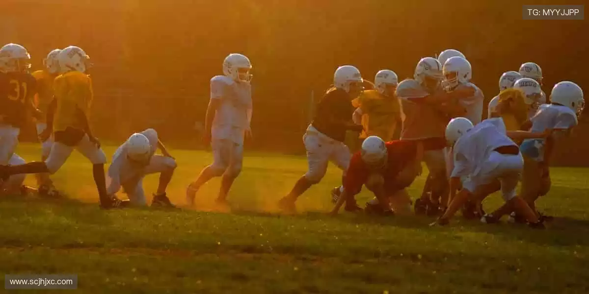 🎉 冠军之路，与你同在，